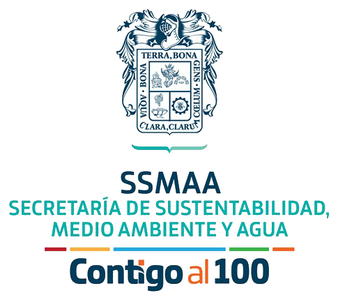 Normativa